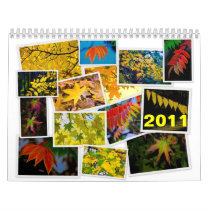 leaves, 2011 calendars