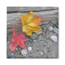 Leaves Adrift Magnet