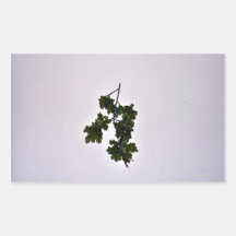 Leaves and Branches Sticker