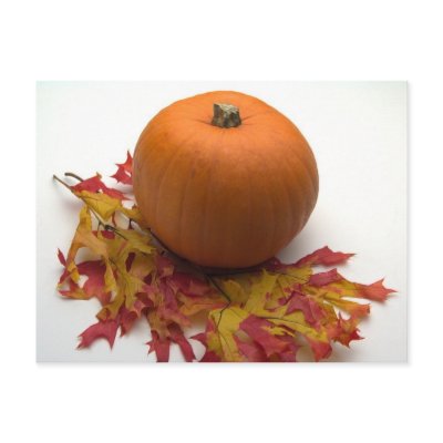 Leaves And Pumpkins Post Card by FallSeason