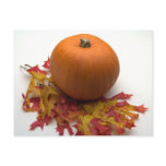 Leaves And Pumpkins postcards