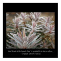 Leaves/Beauty posters by littlewingdesign Leaves/Beauty posters