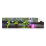 Leaves Bridges Leaf Bumper Sticker