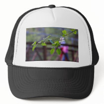 Leaves Bridges Leaf hats by lifesphere Leaves Bridges Leaf hats