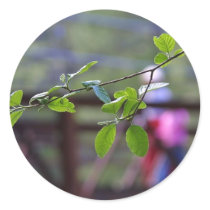 Leaves Bridges Leaf stickers by lifesphere Leaves Bridges Leaf stickers