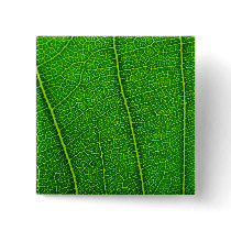 leaves buttons