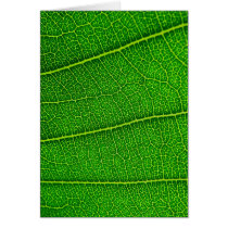 leaves greeting card