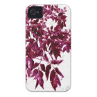 leaves casematecase
