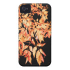 leaves casematecase