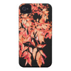 leaves casematecase