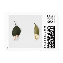 Leaves dipped in gold postage