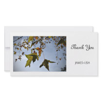 Leaves in fall photo cards