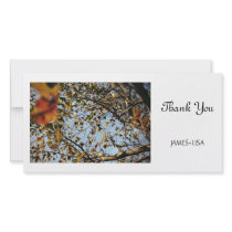 Leaves in fall photo cards