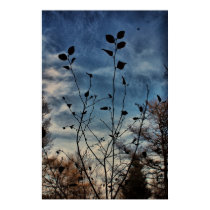 Leaves in Silhouette posters by Krissy_B Leaves in Silhouette posters