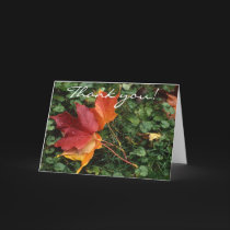 Leaves Landscape - Thank you! cards by clarionphoto Leaves Landscape - Thank you! cards