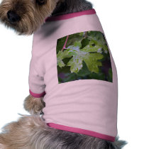 Leaves Leaf Raindrops pet clothing by lifesphere Leaves Leaf Raindrops pet clothing