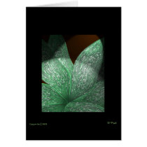 Leaves_Leaf Seris cards by prattsartwork Leaves_Leaf Seris cards