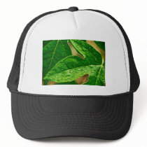leaves me out hats