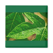 leaves me out refrigerator magnets