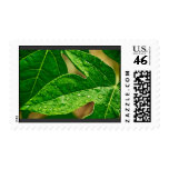leaves me out postage stamps
