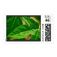 leaves me out postage stamps