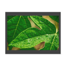 leaves me out post card