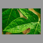 leaves me out posters