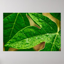 leaves me out posters
