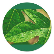 leaves me out stickers