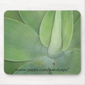 Leaves mousepads
