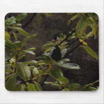 Leaves mousepads