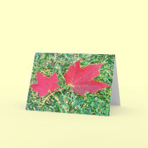 Leaves of Autumn cards