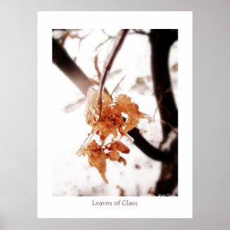 Leaves of Glass 2 print