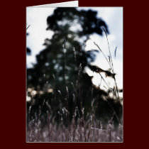 Leaves of Grass Card cards