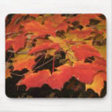 LEAVES of RED & GOLD by SHARON SHARPE mousepads