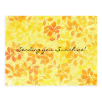 Leaves of Summer Postcard postcards