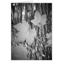 Leaves on Bark Greeting Card