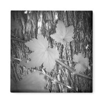 Leaves on Bark Magnets