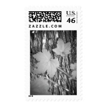 Leaves on Bark Postage Stamp