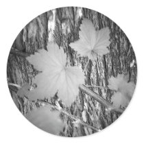 Leaves on Bark Round Sticker