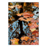 Leaves on the lake greeting card