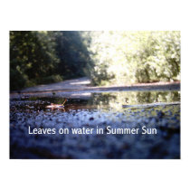 Leaves on water posters by Moslo Leaves on water posters