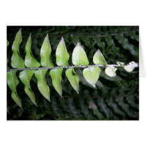 leaves over leaves cards