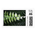 leaves over leaves postage
