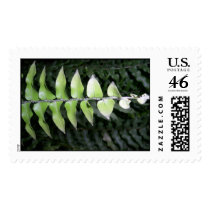 leaves over leaves postage
