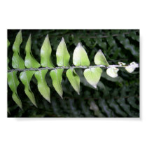 leaves over leaves posters