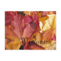Leaves postcards