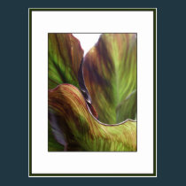 Leaves postcards