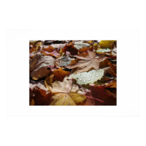 Leaves posters