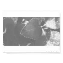 Leaves posters by Fonseca Leaves posters